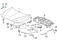 OEM Acura MDX OPEN STAY R, HOOD Diagram - 74145-TYA-A01