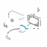 OEM 2004 Acura RL Hose, Water (Lower) Diagram - 19502-PY3-010