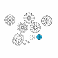 OEM 2002 Nissan Sentra Disc Wheel Cap Diagram - 40315-4Z000