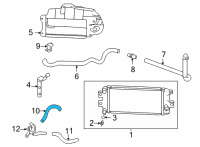 OEM 2022 Acura TLX HOSE Diagram - 19586-6S9-A00