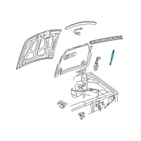 OEM 2004 Ford Explorer Sport Trac Support Cylinder Diagram - 1L5Z-16C826-AA