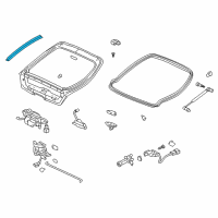 OEM Honda Insight Seal, L. RR. Gutter Diagram - 74405-S3Y-000