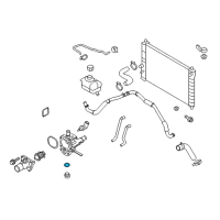 OEM 2009 Chevrolet Aveo5 Thermostat Housing Seal Diagram - 55555984