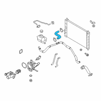 OEM Pontiac Upper Hose Diagram - 96810843