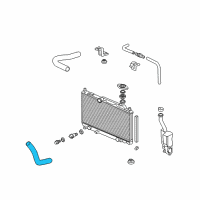 OEM 2002 Honda Civic Hose, Water (Lower) Diagram - 19502-PRA-000