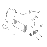 OEM 2016 Chevrolet City Express Evaporator Tube O-Ring Diagram - 19317802