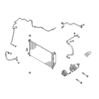 OEM Chevrolet Suction Hose Cap Diagram - 19317482