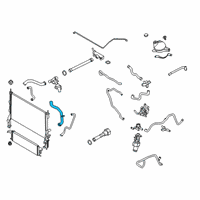 OEM 2021 Ford Transit-350 HOSE - RADIATOR Diagram - LK4Z-8286-J