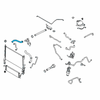 OEM 2021 Ford Transit-350 HOSE - RADIATOR Diagram - LK4Z-8260-E