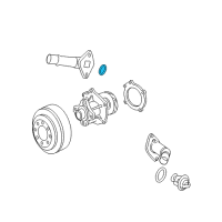 OEM 2004 GMC Canyon Seal, Coolant Outlet(O Ring) Diagram - 24576967