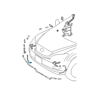 OEM Lexus RX330 Hose Diagram - 90075-15025