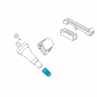 OEM 2022 Ford F-250 Super Duty Valve Stem Cap Diagram - HU5Z-1A163-A