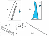 OEM 2022 Ford Bronco Sport MOULDING - DOOR WINDOW FRAME Diagram - M1PZ-78255A34-AE