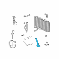 OEM 2009 Honda Civic Hose, Water (Lower) Diagram - 19504-RNB-A01