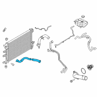 OEM 2017 Lincoln MKZ Upper Hose Diagram - HP5Z-8260-B