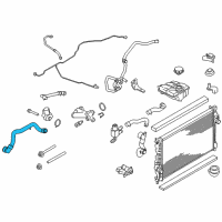 OEM 2016 Ford Transit Connect Lower Hose Diagram - CV6Z-8260-U