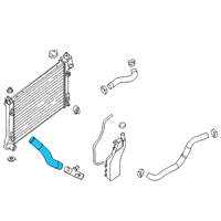 OEM 2019 Nissan Sentra Hose-Radiator, Lower Diagram - 21504-4FU0A