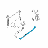 OEM Nissan Maxima Hose-Lower Diagram - 21503-9HA0D