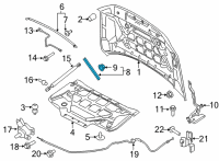 OEM 2022 Ford F-150 Side Weatherstrip Diagram - FL3Z-16B991-A