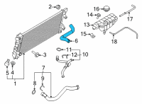 OEM 2021 Ford F-150 HOSE - RADIATOR Diagram - ML3Z-8260-L