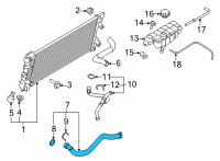 OEM 2021 Ford F-150 HOSE - RADIATOR Diagram - ML3Z-8286-G