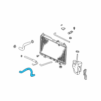 OEM Honda Hose, Water (Lower) Diagram - 19502-P3F-J00