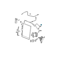 OEM 2002 Dodge Ram 1500 Valve-A/C Pressure TRANSDUCER Diagram - 5073617AA