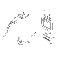 OEM 2010 Lexus IS F Packing, Radiator Drain Diagram - 16418-20290