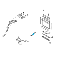 OEM 2010 Lexus LS460 Hose, Radiator, NO.1 Diagram - 16571-38060