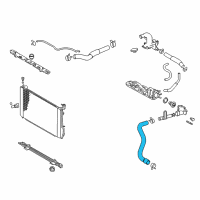 OEM 2008 Lexus RX400h Hose, Radiator, Outlet Diagram - 16572-20121