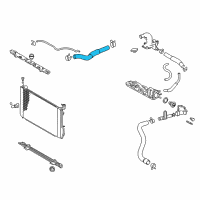 OEM 2008 Lexus RX400h Hose, Radiator, Inlet Diagram - 16571-20091