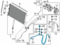 OEM 2021 Ford F-150 TUBE ASY Diagram - ML3Z-19972-F