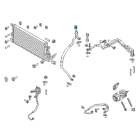 OEM Cap Diagram - F7RZ-19D702-BA