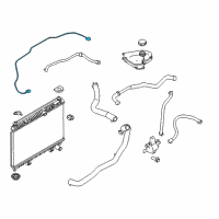 OEM 2017 Ford Fiesta Overflow Hose Diagram - C1BZ-8B081-H