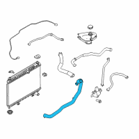 OEM 2017 Ford Fiesta Lower Hose Diagram - C1BZ-8286-B