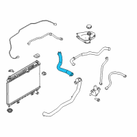 OEM 2015 Ford Fiesta Upper Hose Diagram - C1BZ-8260-C