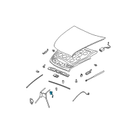 OEM 2003 Buick Park Avenue Latch Diagram - 16634628