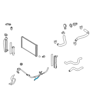 OEM Toyota Hose Diagram - 44774-20310