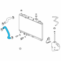 OEM 2021 Honda Accord Hose, Water (Lower) Diagram - 19502-6B2-A10