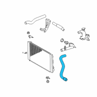 OEM 2005 Toyota Sienna Lower Hose Diagram - 16572-AA020