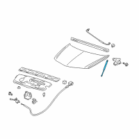 OEM 2005 Pontiac Aztek Strut Asm-Hood Diagram - 10354216