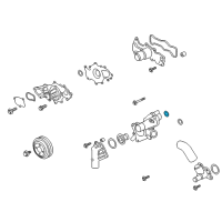 OEM 2019 Ford Expedition Thermostat Housing O-Ring Diagram - HL3Z-8507-D