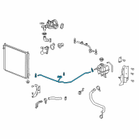 OEM 2008 Cadillac STS Radiator Surge Tank Inlet Hose Diagram - 19129998