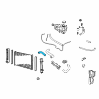 OEM 2004 Pontiac GTO Radiator Outlet Hose (Lower) Diagram - 92112264