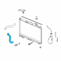 OEM 2017 Honda Accord Hose, Water (Lower) Diagram - 19502-5G2-A01