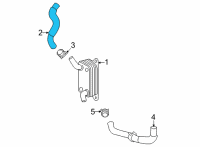 OEM 2022 Toyota Corolla Cross Inlet Hose Diagram - 16262-F2060