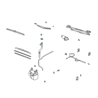OEM 2020 Lexus GS350 Cap,Tank Diagram - 85316-48060