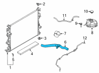 OEM 2022 Ford Bronco Sport HOSE - RADIATOR Diagram - LX6Z-8260-N