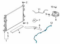 OEM 2021 Ford Escape HOSE - WATER Diagram - LX6Z-8063-A