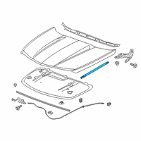 OEM Cadillac XT4 Support Strut Diagram - 23282549